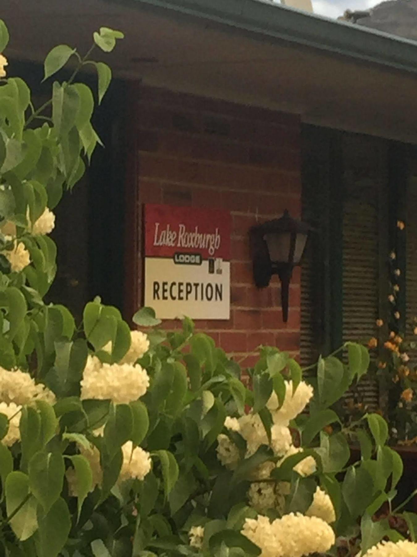 Lake Roxburgh Lodge ภายนอก รูปภาพ